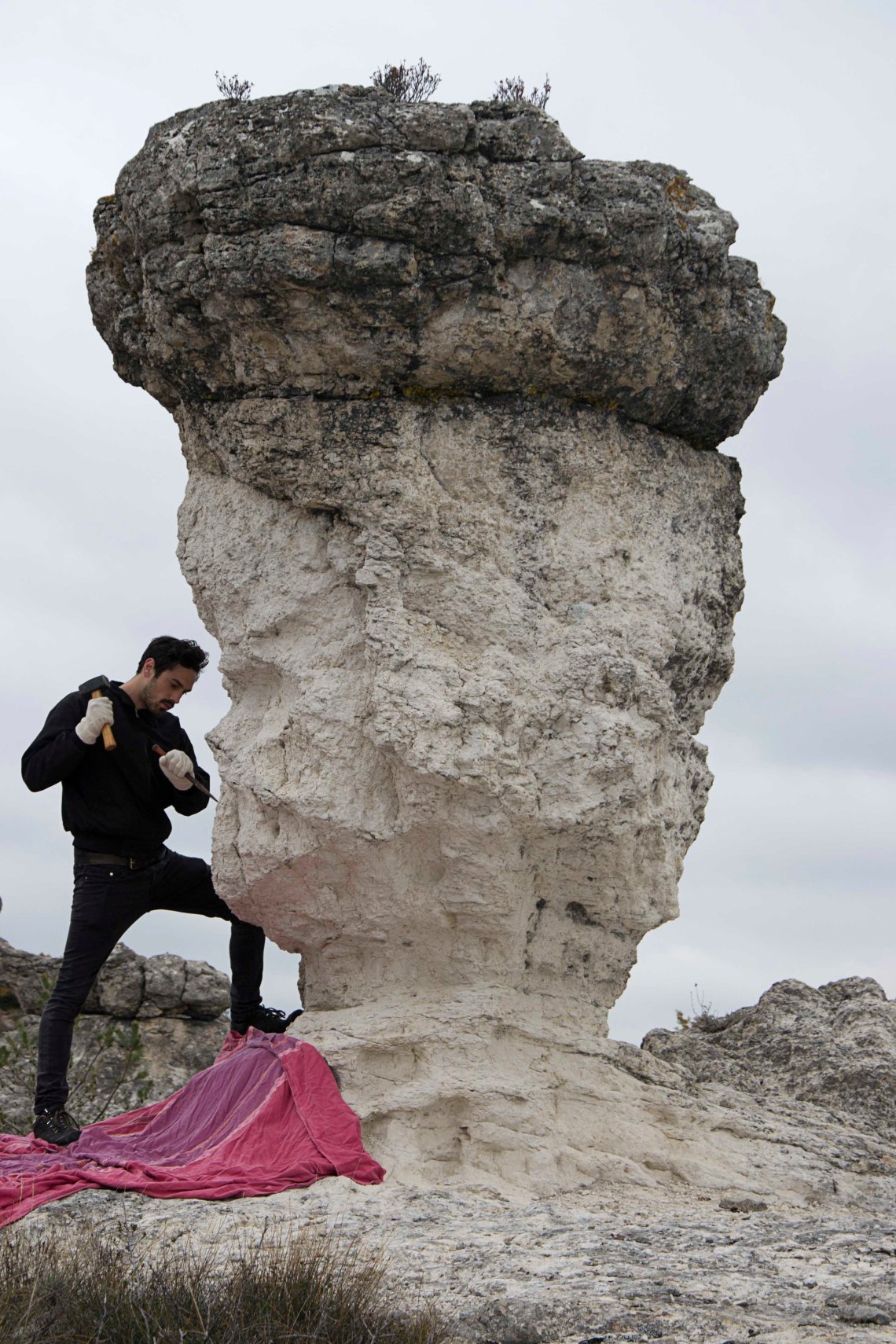 nature doesn t make decisions  Simon Knab