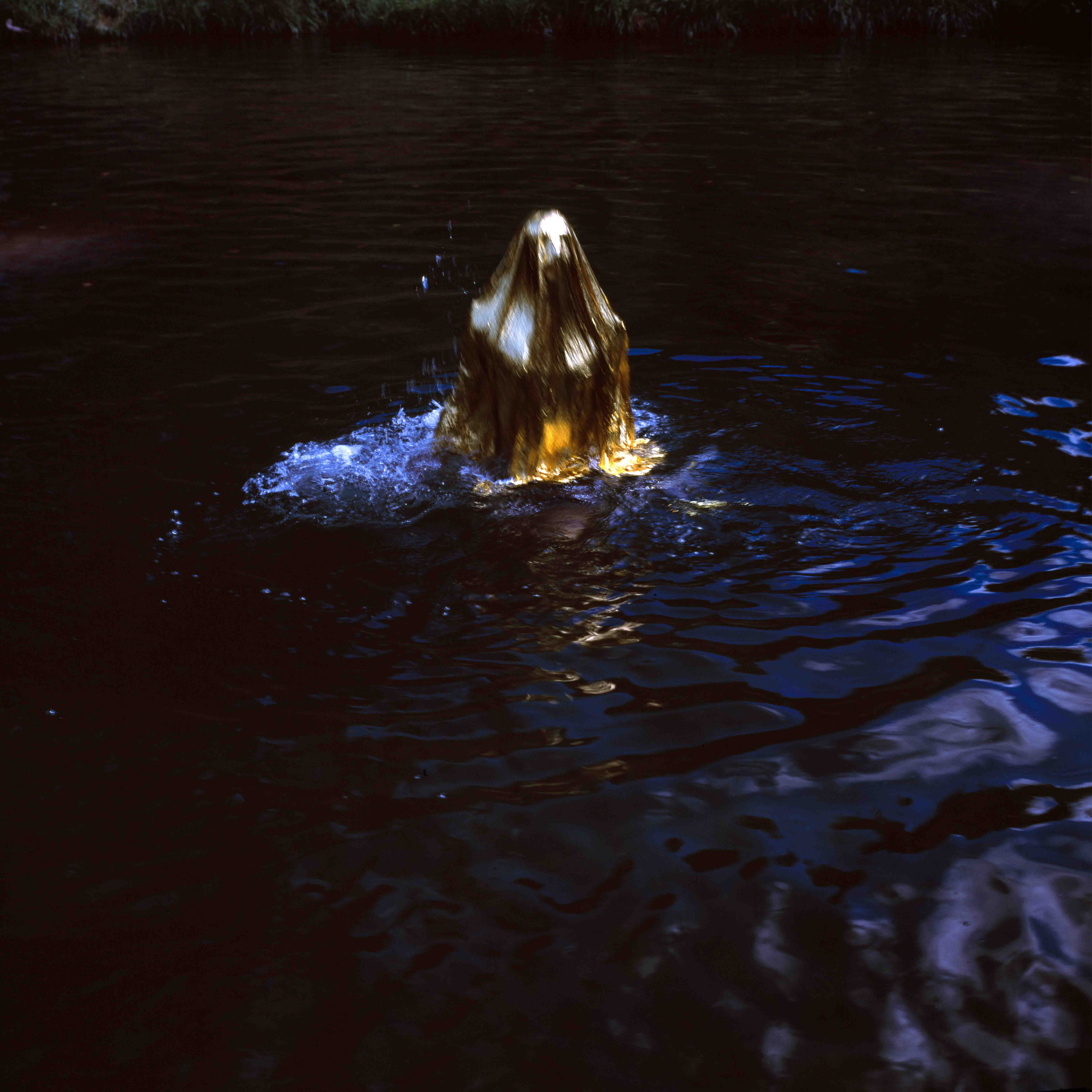 forever and a day #5; 50x50cm Barrit auf Aludibond  Simon Knab