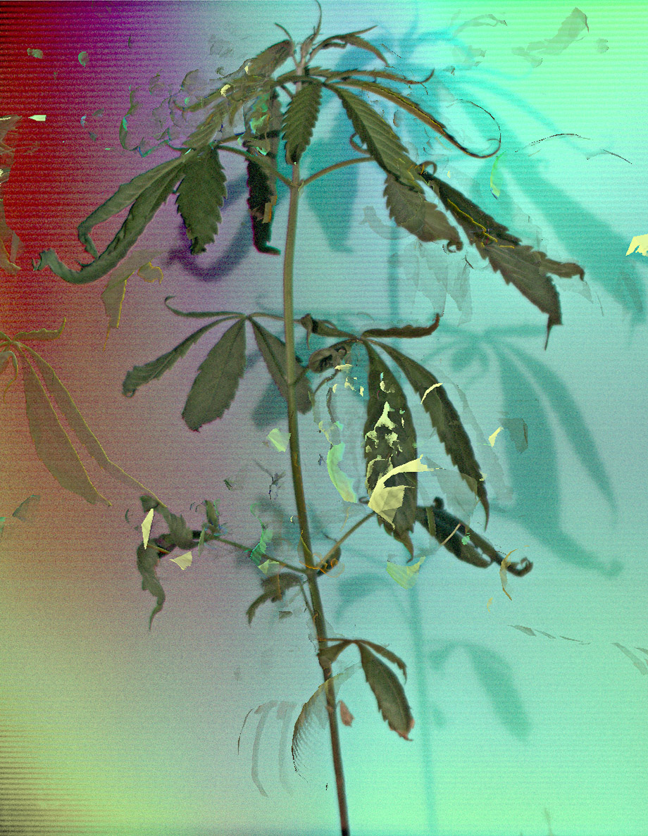 Simon Knab How do you feel about me? Erratum Galerie