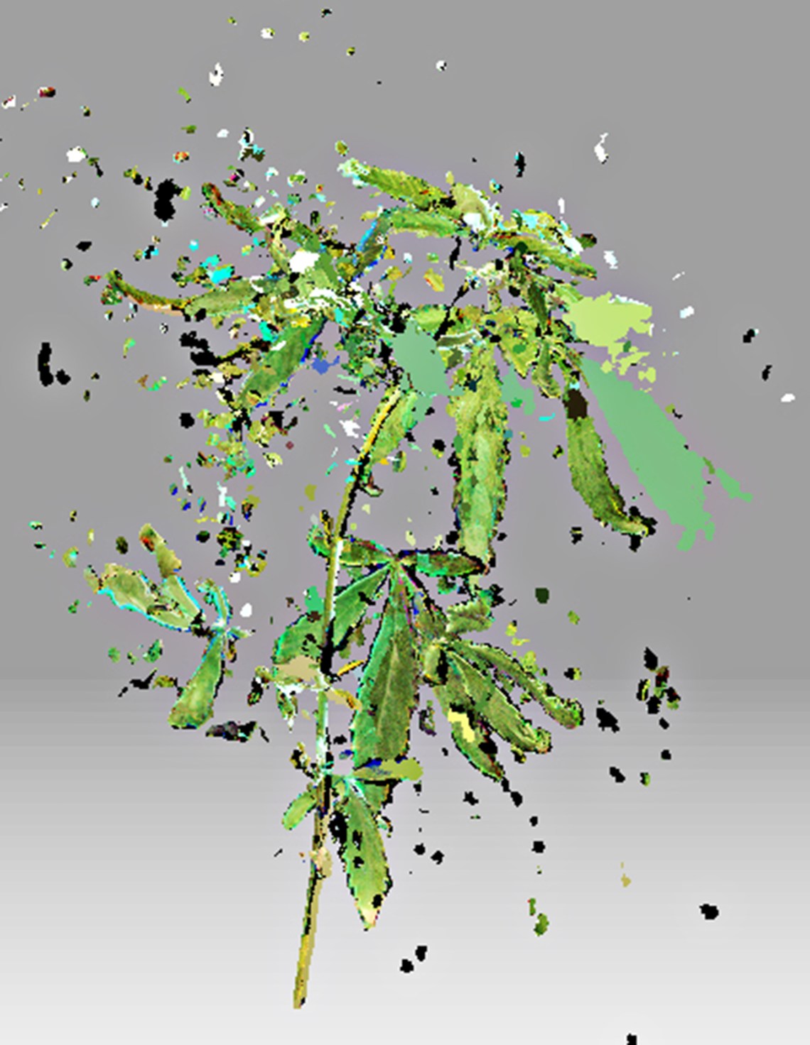 Simon Knab How do you feel about me? Erratum Galerie