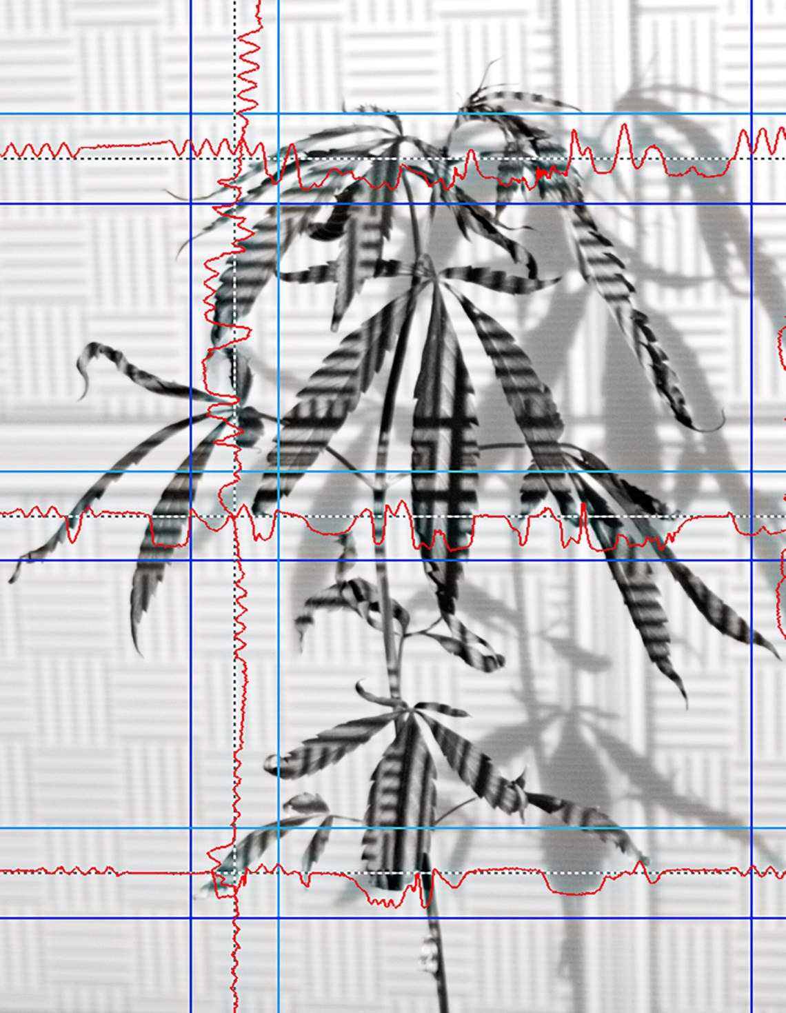 Simon Knab How do you feel about me? Erratum Galerie