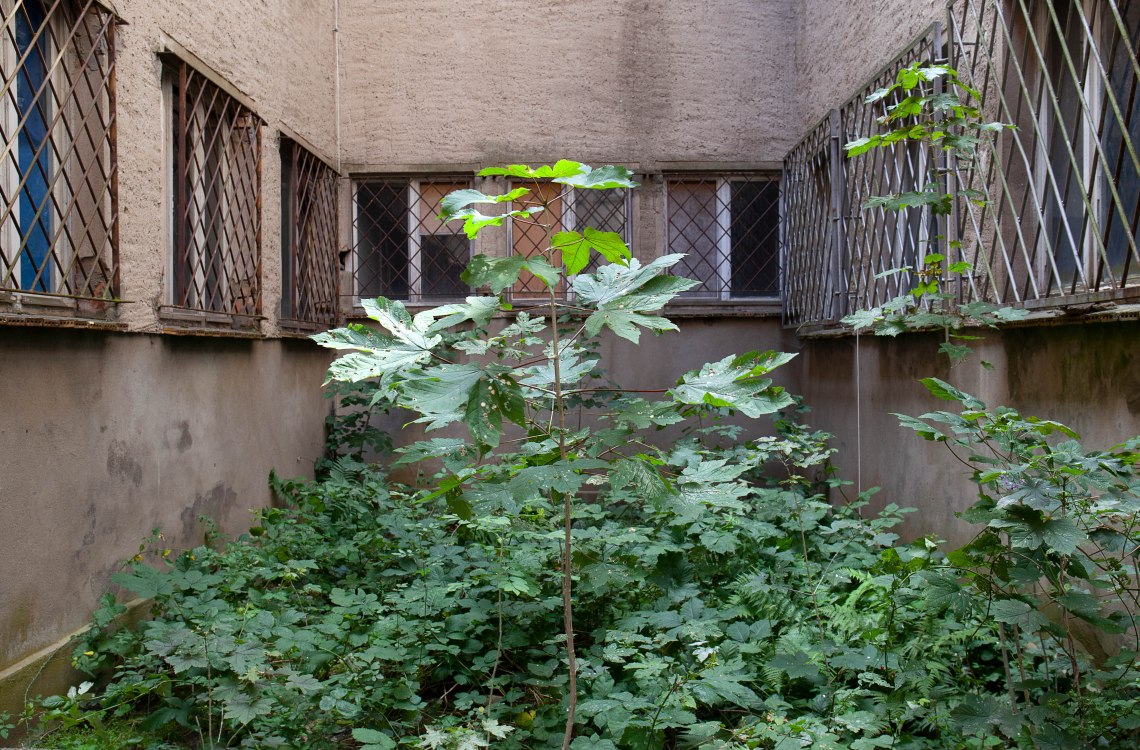 Dokuzentrum Innenhof