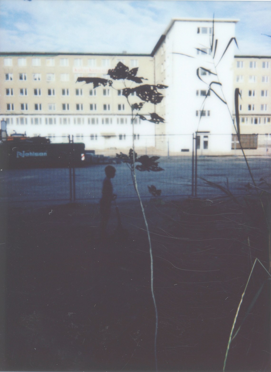 Prora-Baum 020 Kopie